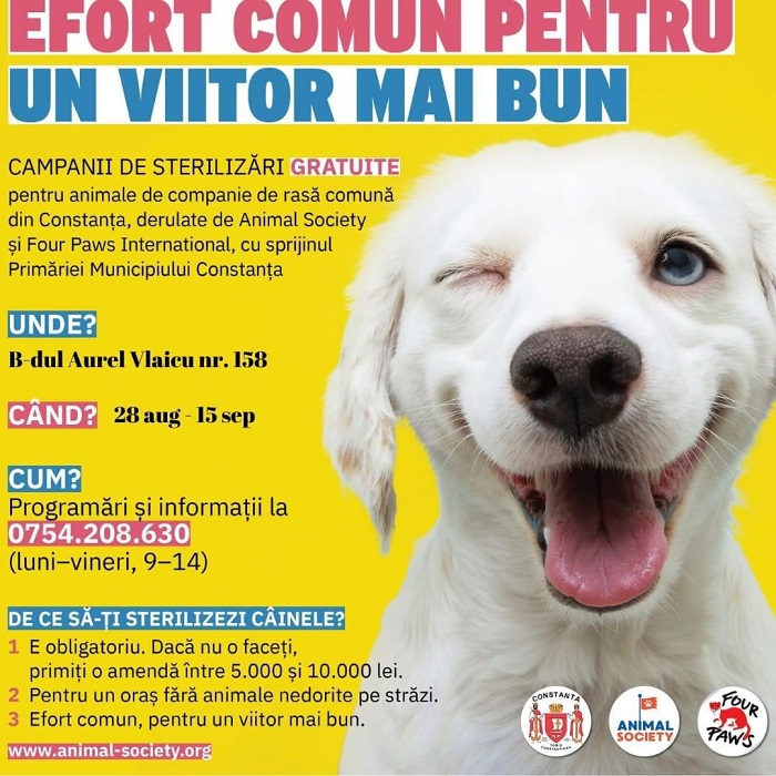 Campanie de sterilizare în Constanța