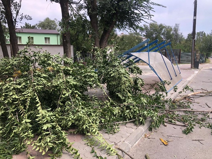 (FOTO) ALERTĂ în Medgidia: Un arbore rupt de vânt a distrus o stație de autobuz