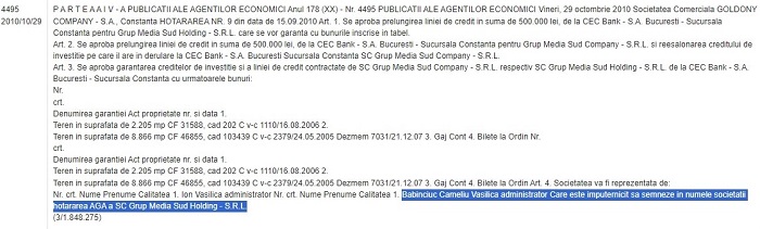 Hotărâre Grup Media Sud Holding SRL
