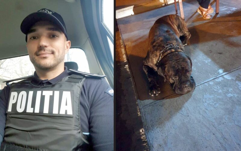 Cum a convins un polițist din Constanța, un câine dintr-o rasă periculoasă, să îl urmeze: Stăpânul a fost amendat