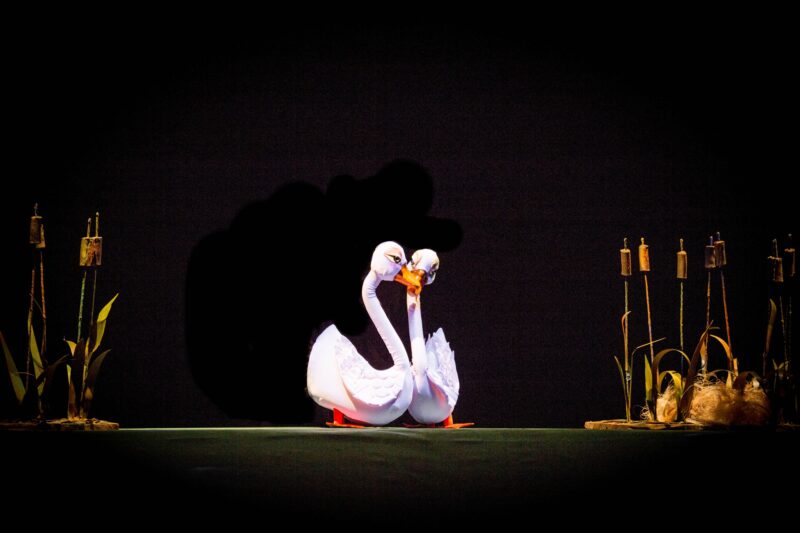 „Rățușca cea urâtă” vine, pentru micuții din Constanța, pe scena Teatrului „Căluțul de Mare”