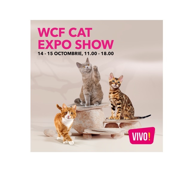 Constanța: Cele mai frumoase pisici pot fi admirate în week-end, la VIVO!