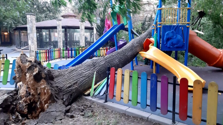 Vijelie la Constanța: Un copac a CĂZUT peste locul de joacă din parcul Teatrului "Oleg Danovski"
