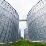 O fabrică de prelucrare florea soarelui va fi amenajată în Adamclisi. Cine este investitorul