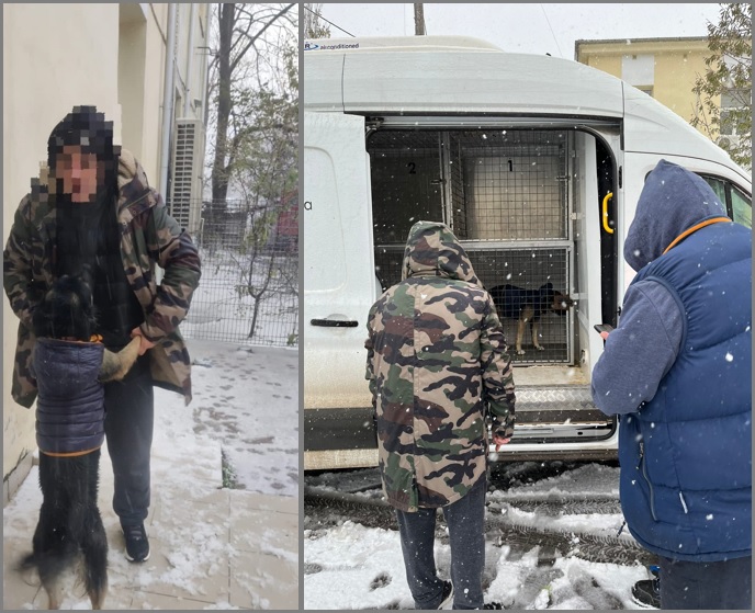 (FOTO) Un bărbat fără adăpost din Constanța, înghețat de frig, a cerut ajutorul polițiștilor pentru el și câinele său
