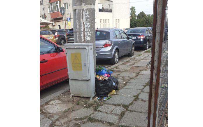 Amendă RECORD pentru un constănțean care a aruncat gunoiul pe domenul public: Câți bani trebuie să scoată din buzunar