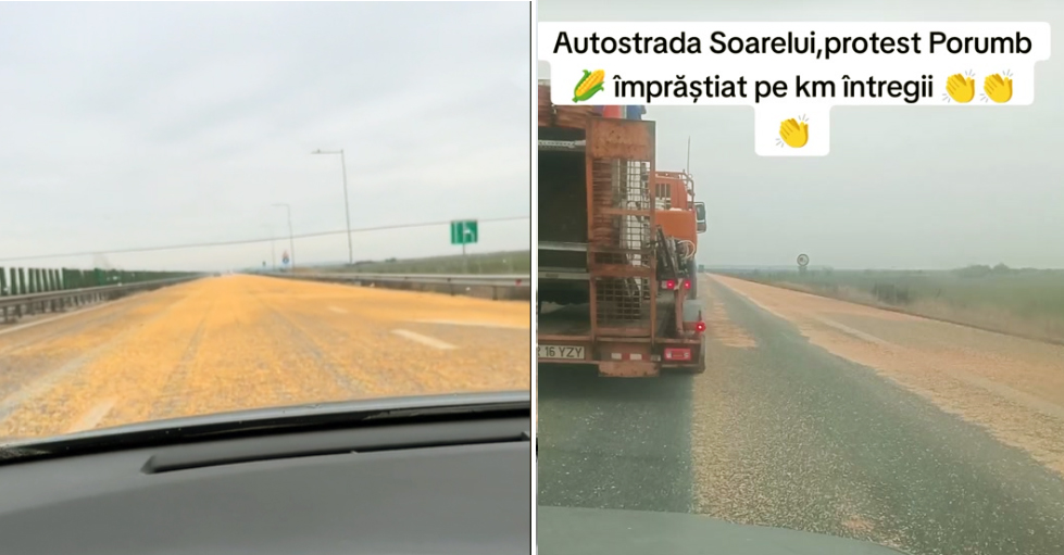 (VIDEO) A "plouat" cu porumb pe Autostrada Soarelui: Drumarii au intervenit pentru a evita un accident