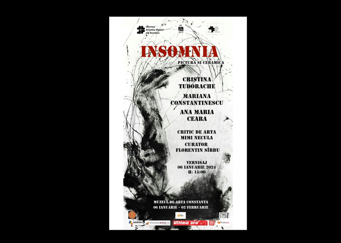 Trei artiste plastice din Constanța prezintă o expoziție inedită la Muzeul de Artă: „INSOMNIA”