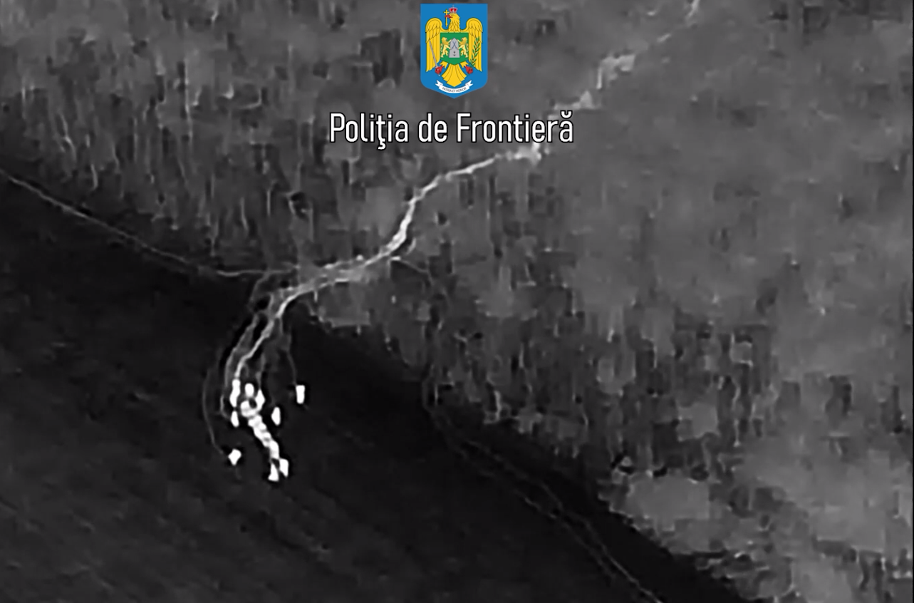 Zona Ostrov: 19 migranți, care au trecut ilegal granița cu Bulgaria, depistați noaptea într-o pădure