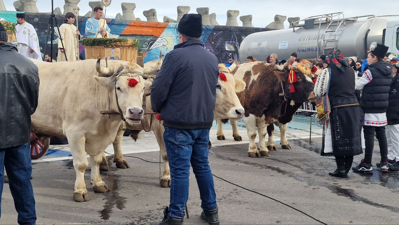 Boii de la Bobotează