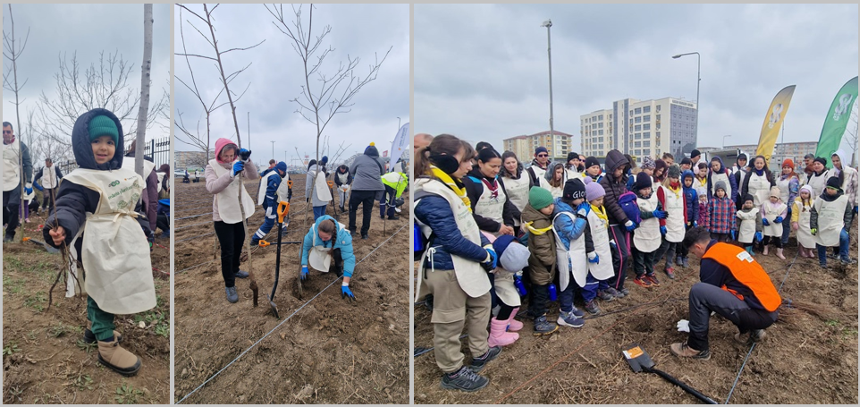 (FOTO/VIDEO) Sute de voluntari au participat astăzi la plantarea celei de-a doua păduri urbane din Constanța