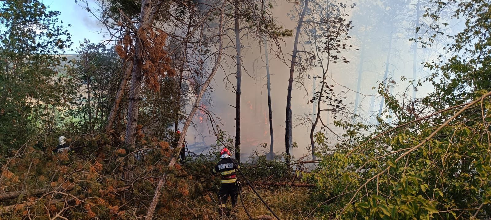 FOTO VIDEO Weekend de foc pentru pompieri: Zeci de salvatori din Tulcea se luptă în aceste momente cu incendii de vegetație