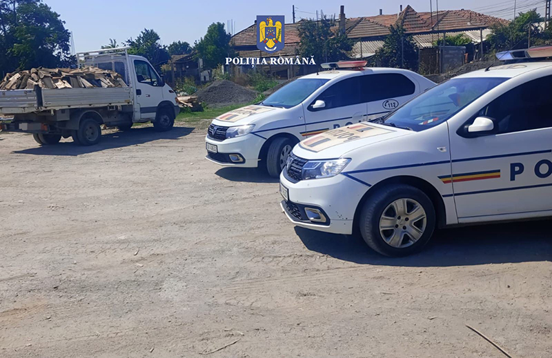 Autoutilitară plină cu lemne fără proveniență, depistată de polițiști la Mereni: Șoferul a fost sancționat