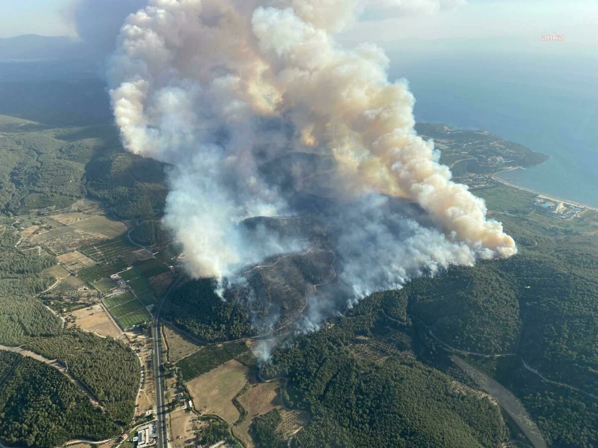 FOTO VIDEO Destinații de vacanță din Turcia și Grecia, devastate de incendii. Mai mulți turiști români au fost evacuați