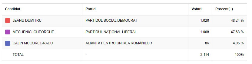 rezultate alegeri Costinești 7 iulie 2024