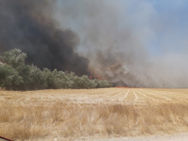 Incendiul în Bărăganu: S-a reaprins focul în zona fermei care a ars în urmă cu două zile