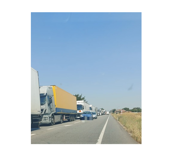Important pentru românii care se întorc din Turcia: Bulgaria a introdus la graniță dezinfecția contracost împotriva pestei micilor rumegătoare