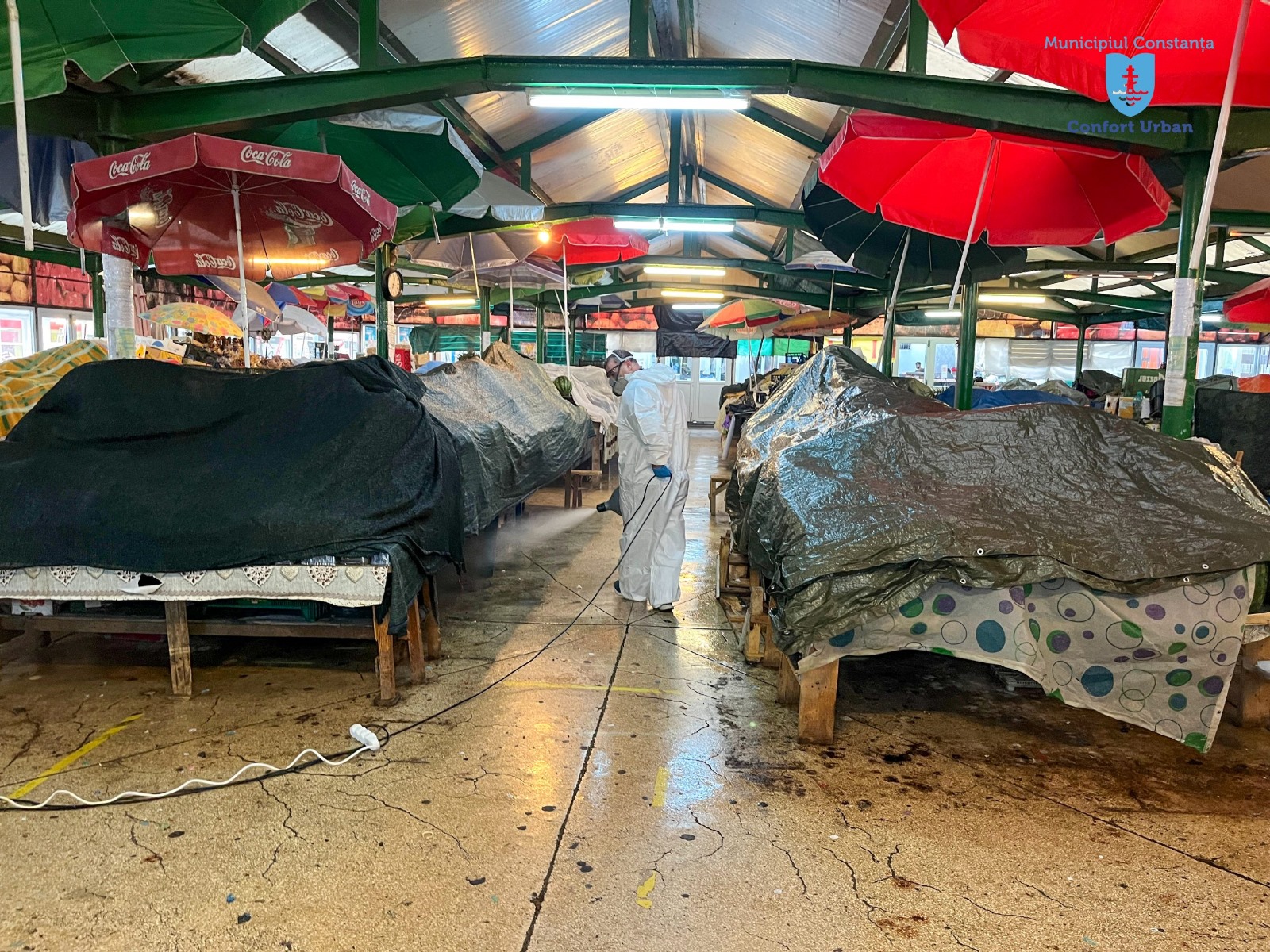 Când începe a doua etapă de dezinsecție, dezinfecție și deratizare în piețele agroalimentare din Constanța