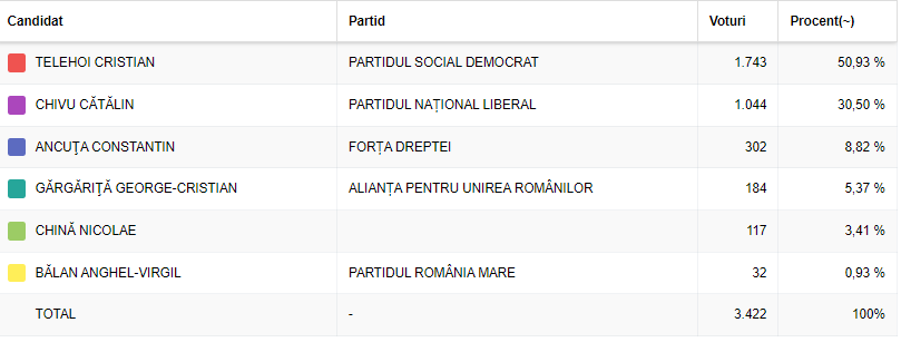 rezultate alegeri 2024 Cobadin 