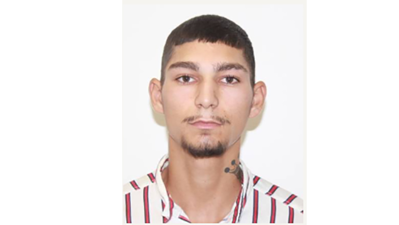 Polițiștii, în ALERTĂ: Un adolescent de 17 ani a dispărut la Constanța