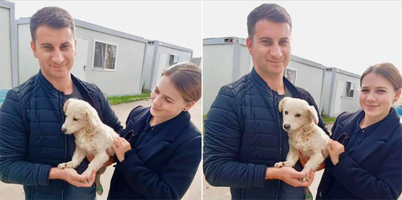 Cățelușa Blanca are, de astăzi, o casuță a ei: Doi tineri au adoptat-o de la adăpostul din Constanța