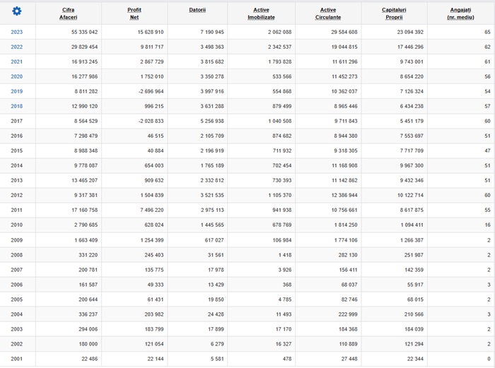 BAICONS IMPEX SRL-Date-financiare-