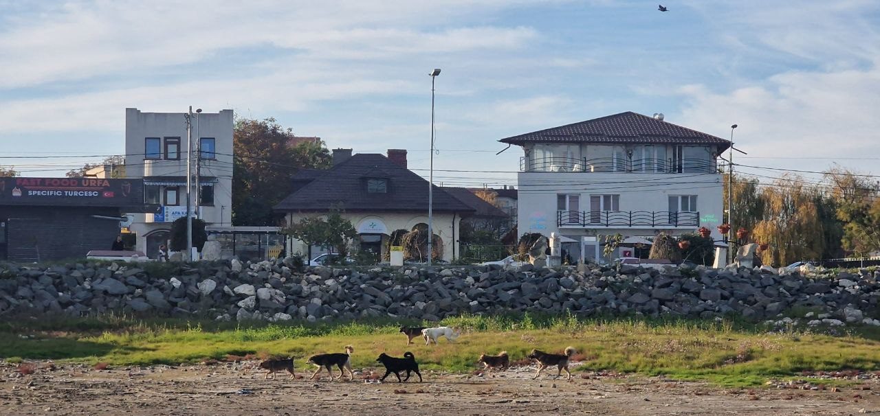 A fost sistată furnizarea de gaze naturale în orașul Techirghiol: Vezi aici ce s-a întâmplat!