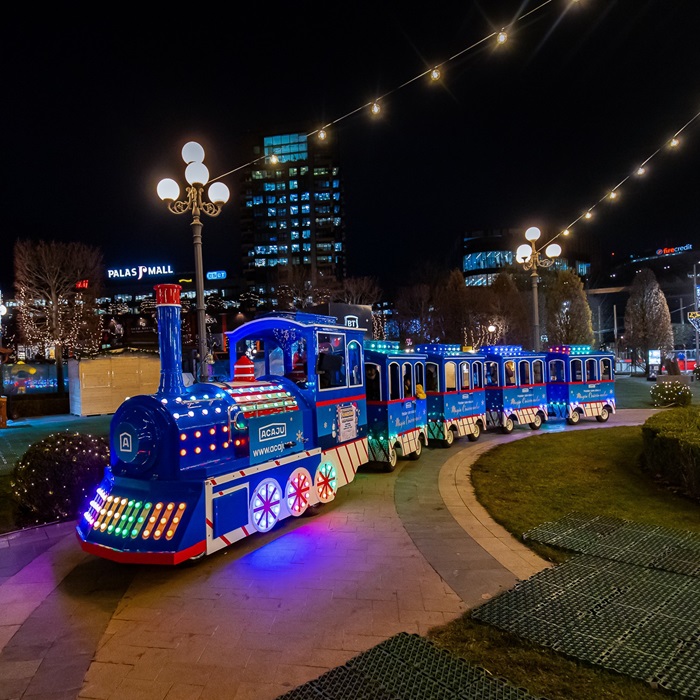 Targ Craciun Palas Iasi