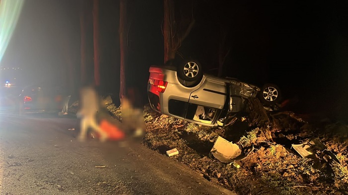Accident cumplit aproape de Tulcea: Trei tinere au trecut pe lângă moarte. Mașina în care se aflau a intrat într-un pom