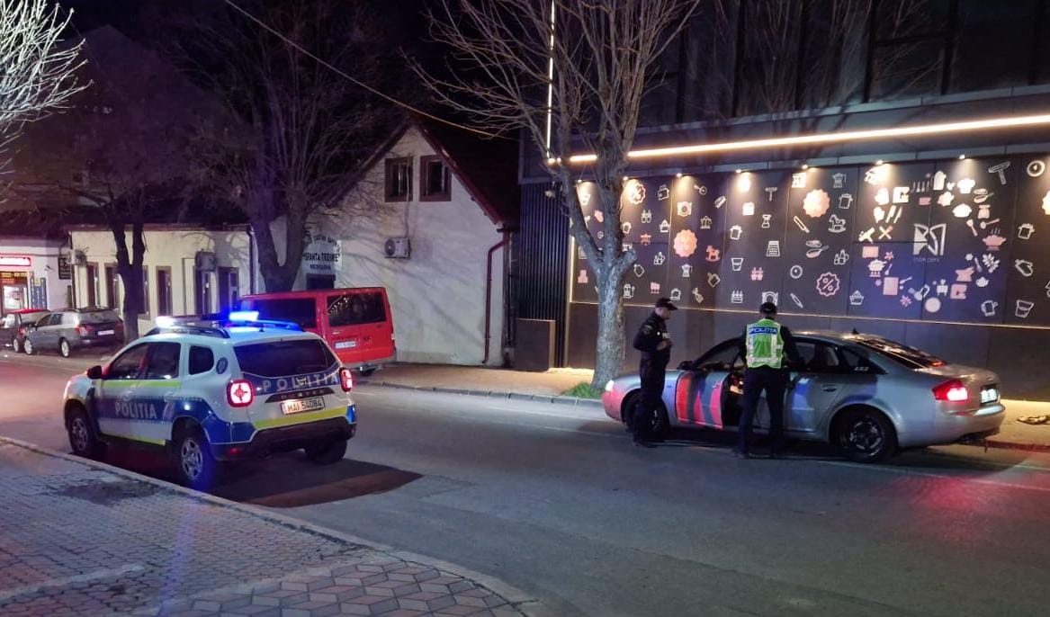 Razii ale polițiștilor în Medgidia, Valu lui Traian și Ciocârlia: Mai mulți șoferi au fost prinși beți și fără permise auto