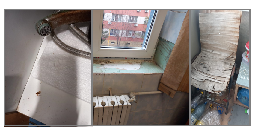 FOTO VIDEO Inspectorii de la Protecția Consumatorilor, controale în căminele studențești din Constanța: rugină, mucegai și instalații sanitare deteriorate