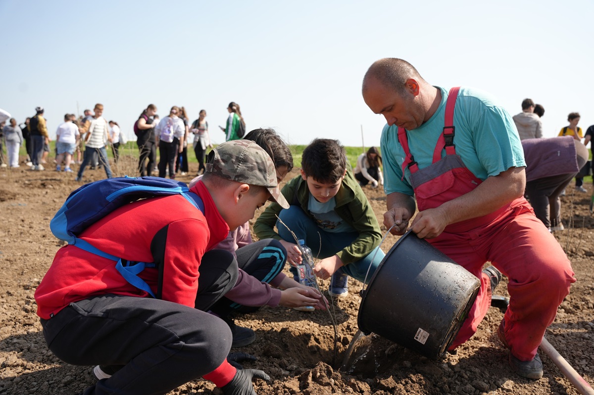 Primăria Cumpăna împreună cu Asociația Creștem România Împreună organizează sâmbătă o amplă acțiune de plantare în comună