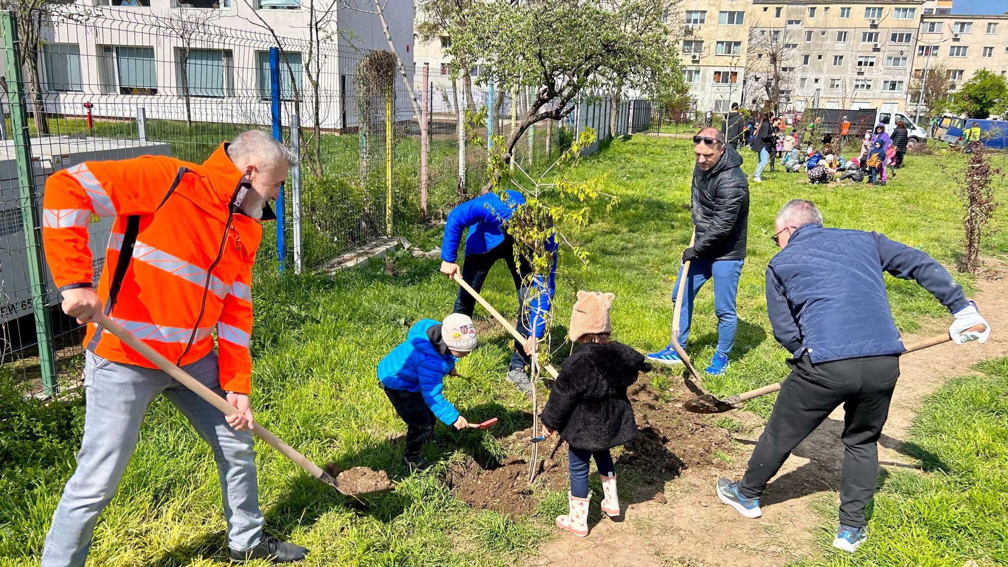 actiuni plantare - Asociația Viitorul Tău