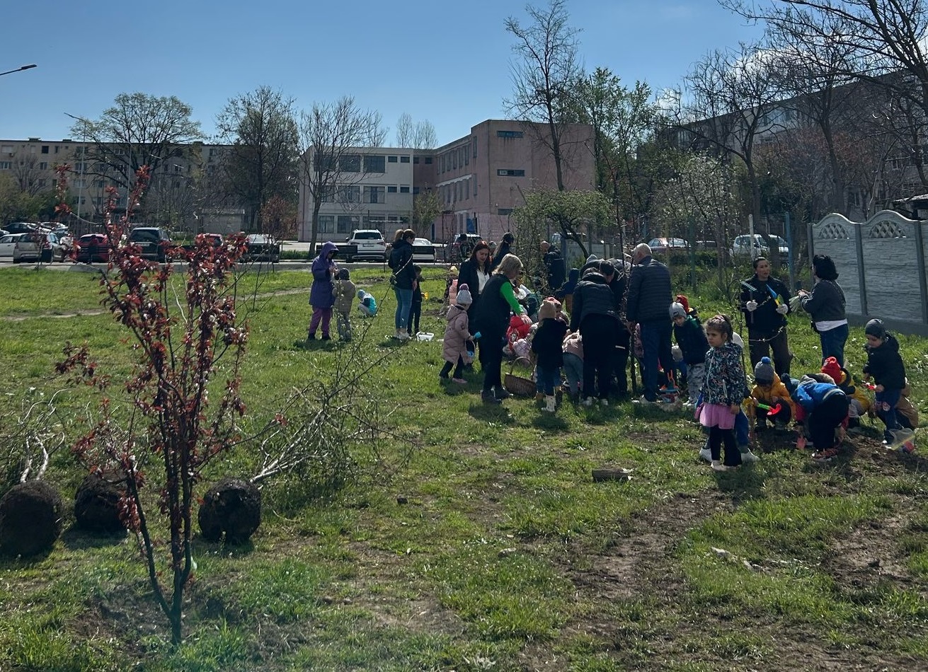 actiuni plantare - Asociația Viitorul Tău