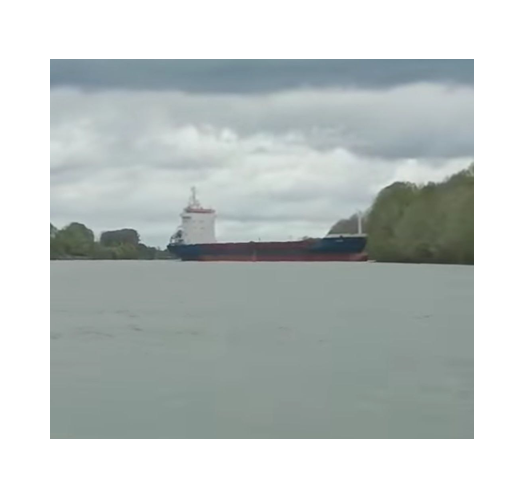 VIDEO OFICIAL Incident naval pe canalul Sulina: Un cargou a intrat în mal din cauza unor probleme la cârmă