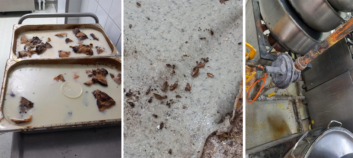 FOTO Rugină, mucegai și gândaci la restaurantul Sofra din Constanța: A fost oprită activitatea