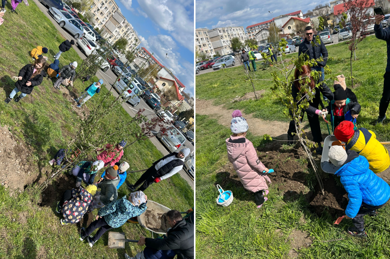 actiuni plantare - Asociația Viitorul Tău