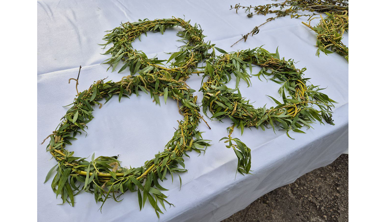 Pe 29 martie, catolicii celebrează Duminica Floriilor. Ce semnificație are această sărbătoare și de ce aduc credincioșii ramuri de salcie