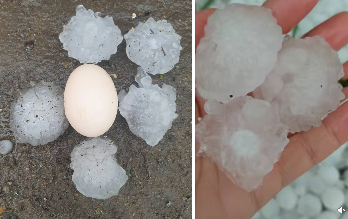 FOTO Grindină cât mingile de golf: Codul Roșu de vreme extremă a făcut prăpăd în două județe