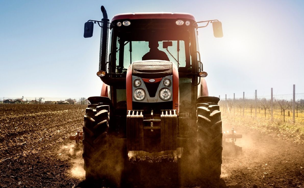 Ministerul Agriculturii anunță sprijin financiar pentru cultivatorii de porumb și floarea-soarelui afectați de seceta din 2025
