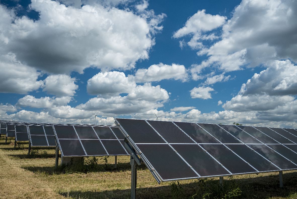 Primăria Negru Vodă investește în energie regenerabilă: află când are loc licitația pentru amenajarea unui parc fotovoltaic