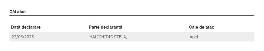 Stela Halichidis apel contestație la executare primăria Constanța