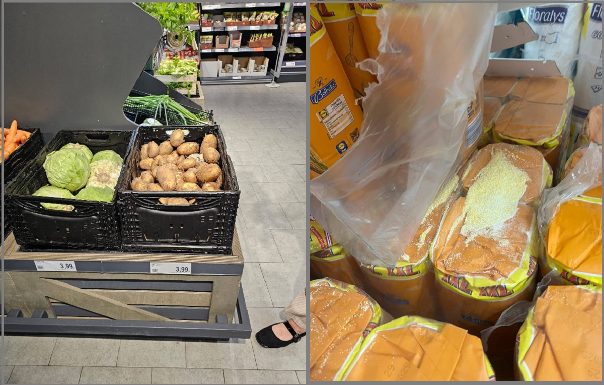 Mozzarella, carne și pește, confiscate: inspectorii ANSVSA au efectuat controale de amploare în Constanța