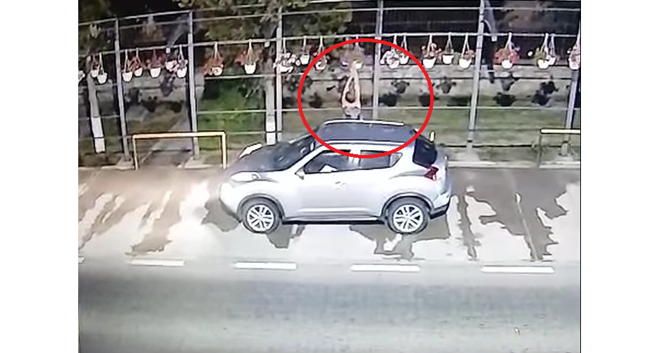 VIDEO Tentativă de furt eșuată în Nicolae Bălcescu: O femeie, surprinsă încercând să smulgă ghivecele cu mușcate