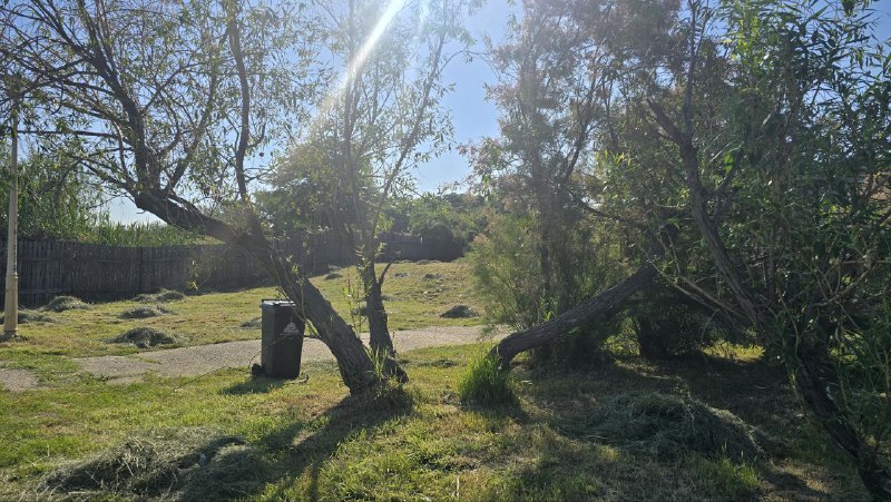 Adolescentul de 16 ani, găsit spânzurat în Parcul Tăbăcărie, era din Ovidiu! Ce spune poliția despre acest caz