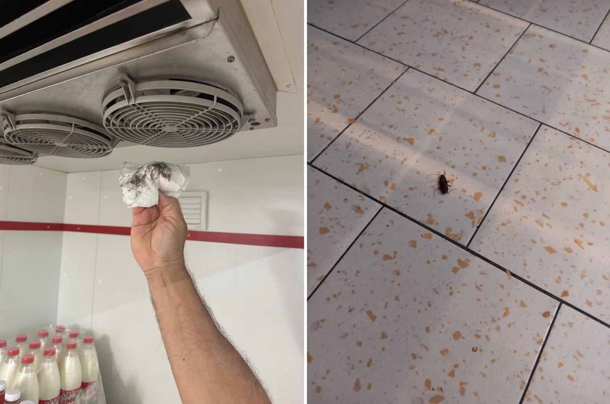 FOTO ANPC a închis mai multe supermarketuri din stațiunile de pe litoral: Amenzi de peste 460.000 lei și zeci de nereguli grave depistate la Lidl, Kaufland, Profi și Carrefour