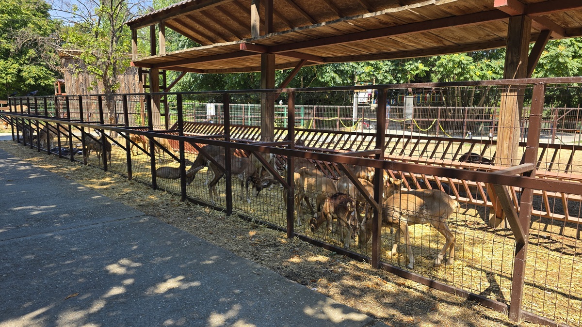 Complexul Muzeal pentru Științe ale Naturii Constanța, anunț important: Măsură de biosecuritate luată pentru Secţia Microrezervaţie şi păsări exotice