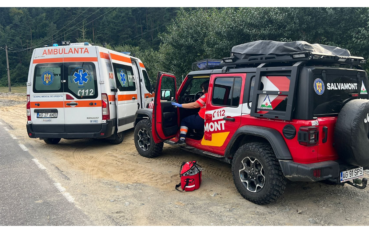 Turist OMORÂT de un urs pe Transfăgărășan: Animalul a fugit înainte de intervenția forțelor de ordine