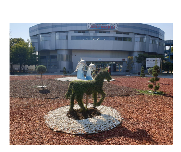 Intrarea la microrezervația din Constanța a fost reamenajată cu sprijinul unui ONG