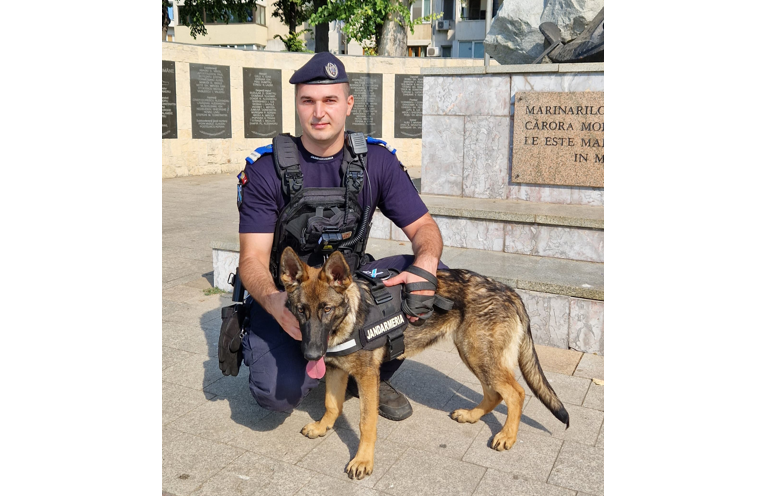 Cățelușa Aria este cel mai nou membru al familiei Jandarmeriei Constanța. Ea se va specializa în detectarea substanțelor stupefiante